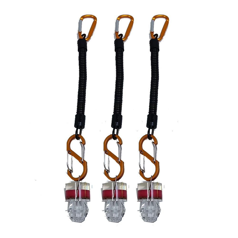 2-3PCS LED Fishing Lights With - Fish Alarm ulasan dan harga